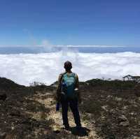 MOUNT LATIMOJONG