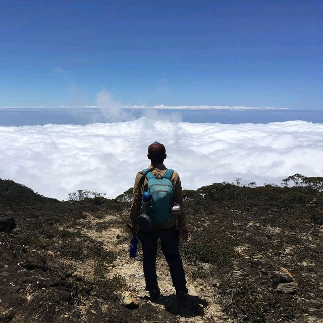 MOUNT LATIMOJONG