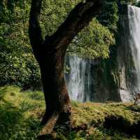 Waterfall Curug Cikaso