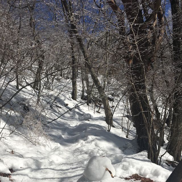 河口湖天上山公園❄️❄️
