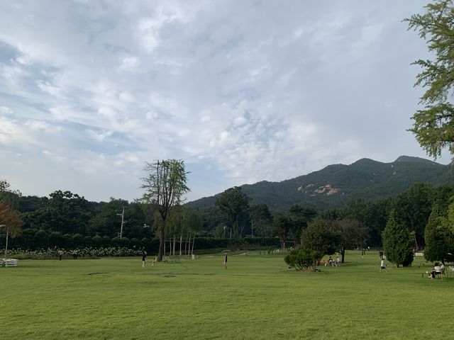 [경기도 의정부시]푸릇푸릇한 카페_파크프리베