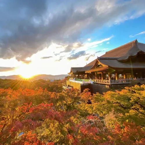 京都 紅葉巡り