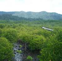 สถานีพัฒนาทรัพยากรป่าชายเลนที่ 4 เกาะช้าง