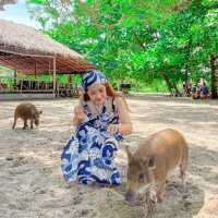ไปหาน้องหมูบนเกาะกลางทะเลกัน 🐷😆🌊