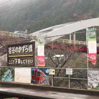 大步危站的妖怪站長