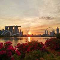 Singapore Best Sunset 