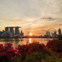 Singapore Best Sunset 