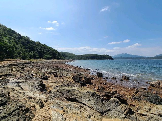 世外桃源系列~荔枝莊🏝️