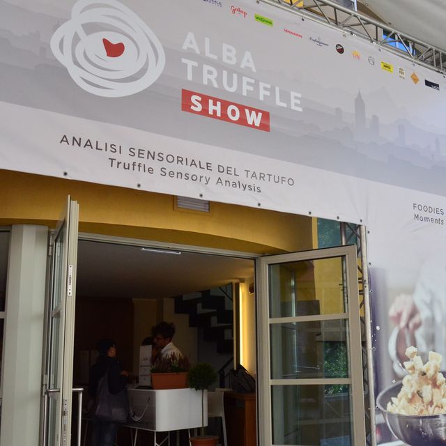  ALBA白松露國際展覽會 