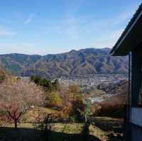 埼玉縣必去景點➡️ 寶登山⛰️⛰️