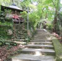 [佐賀]裏道でさらに森林浴🌳「清水の滝」