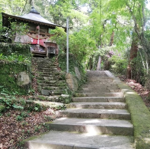 [佐賀]裏道でさらに森林浴🌳「清水の滝」