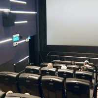 APM 4DX 親身經歷過開飛戰鬥機！