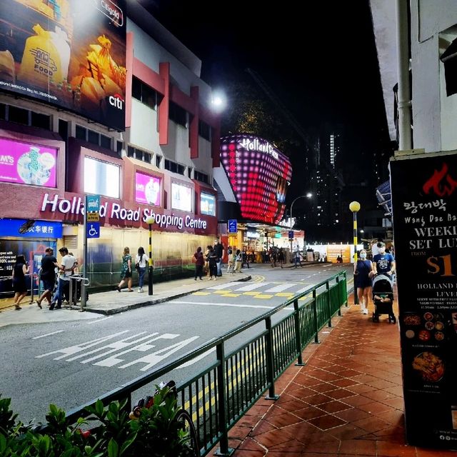 The Mini Orchard Road Of Singapore(Holland)
