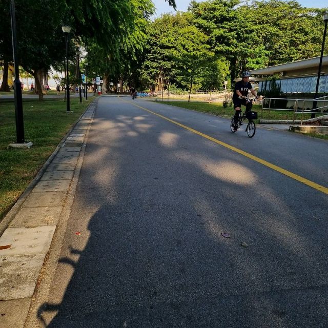 Cycling At East Coast Park