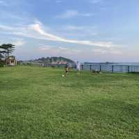 【葉山】芝生が美しい\ 葉山公園 /
