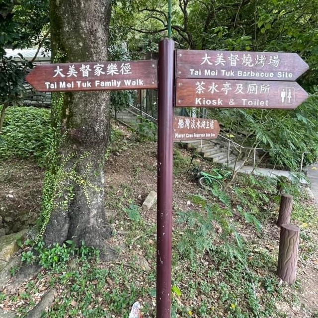 大美督家樂徑🤩大埔輕鬆日落🌄觀景點
