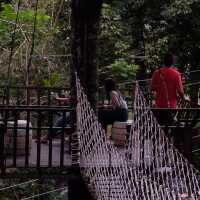 adventure กลางป่าบนม่อนแจ่ม