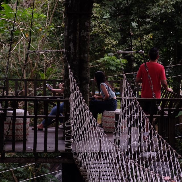 adventure กลางป่าบนม่อนแจ่ม