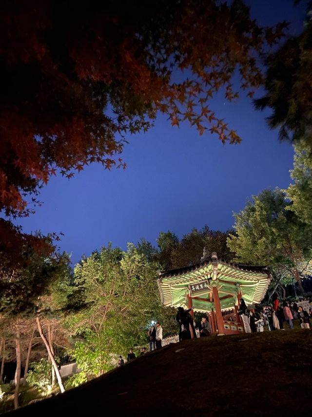 가을 근교여행 필수 코스, 수원 화상행궁 야간개장✨