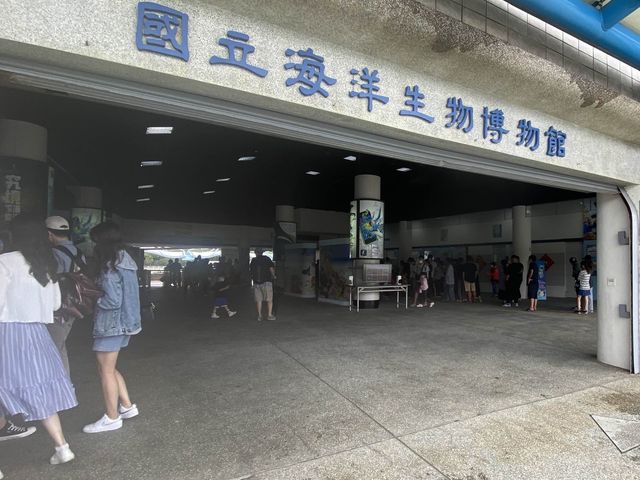 要看小白鯨和企鵝，就來海生館