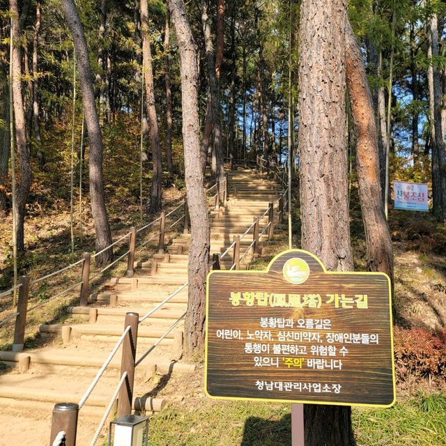 청남대 오각정 길