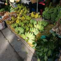 ๐งณํธ์ด์ ์คํธ๋ฆฌํธ ๋ง์ผ(hoi an street market)