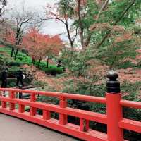 #京都親子遊｜著名景點「千鳥居」