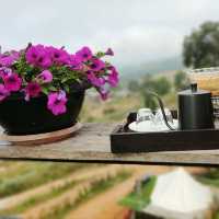 Coffee De Hitak คาเฟ่มินิมอลบนไฮตากภูเรือ