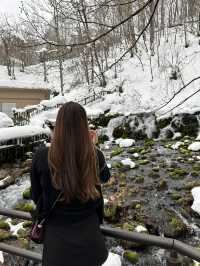 눈오는 날 더 매력적인 후키다시 공원 🏞️