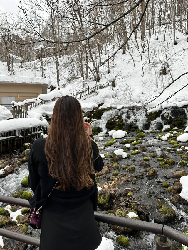 눈오는 날 더 매력적인 후키다시 공원 🏞️