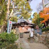 【大阪】歴史上のあの人物達がここにいた✨