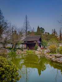 Hangzhou’s Botanical Garden 🌸