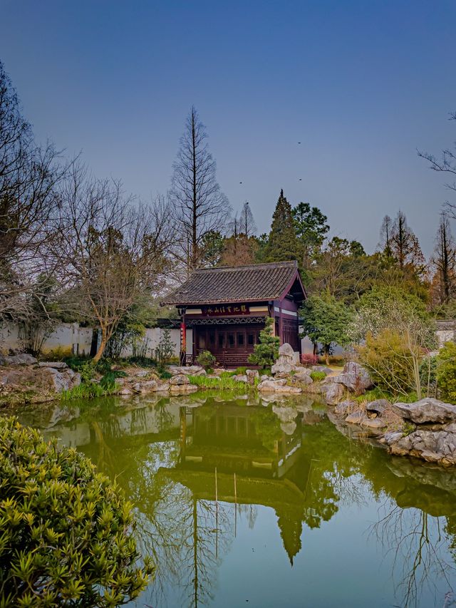 Hangzhou’s Botanical Garden 🌸
