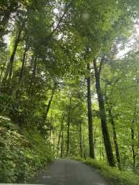 Roaring Fork Motor Natural Trail