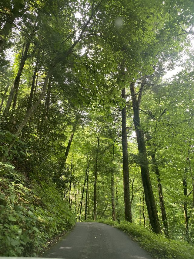 Roaring Fork Motor Natural Trail