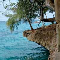 Go for the Prison Island Tour from Zanzibar!