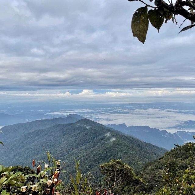 Gunung Mulu National Park - Borneo, Malaysia 