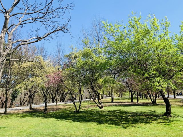 羅馬尼亞景點-泰坦公園 Parcul Titan