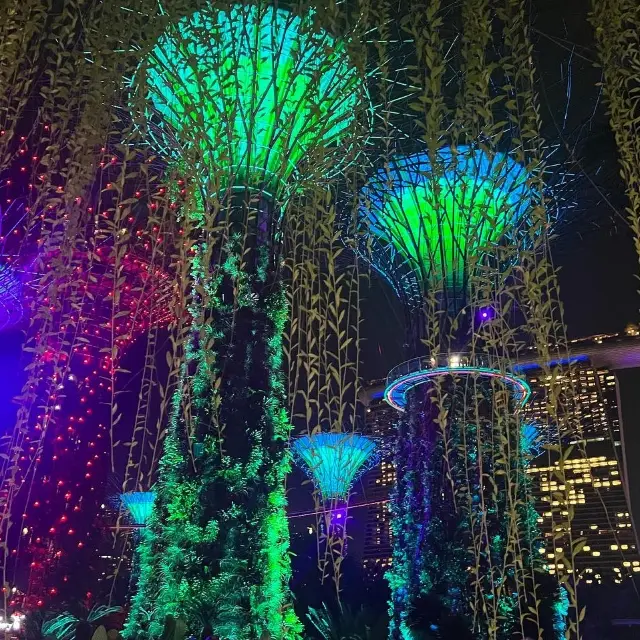 Singapore 🇸🇬 