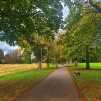 Fall in Cardiff