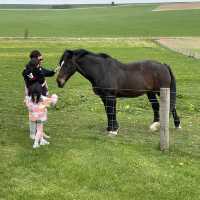 Farmer shop遇見小馬王