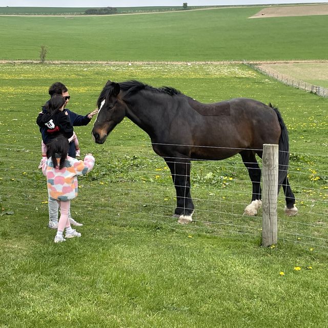 Farmer shop遇見小馬王