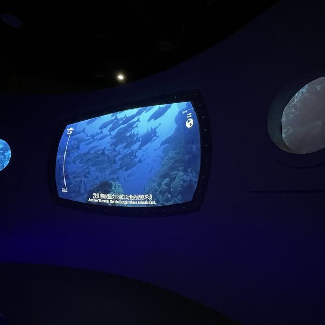 Chongqing Science and Technology museum 