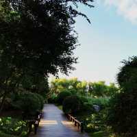 Best place for Morning walk 