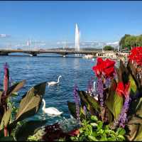 The Geneva Water Fountain | Jet D’Eau 