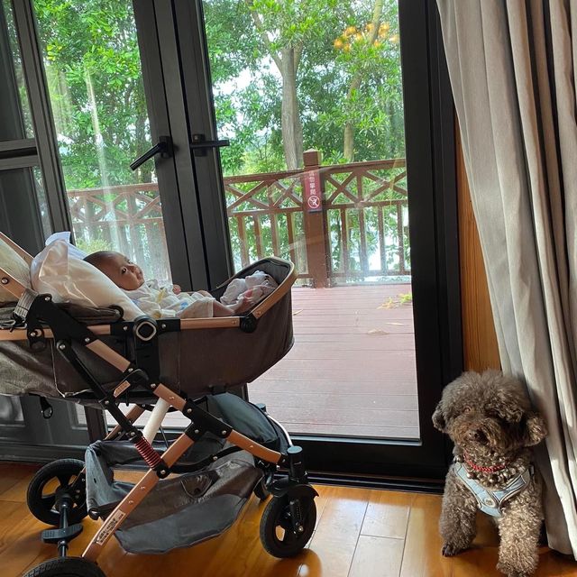 First family vacation with baby and dogs 🐕 