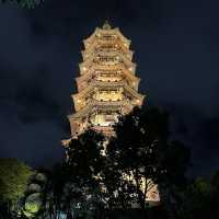 打卡深圳龍華公園的夜景