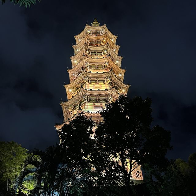 打卡深圳龍華公園的夜景