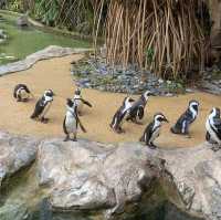 Jurong Bird Park Singapore